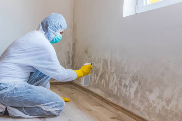 Hvac And Air Duct Mold Remediation inspection of HVAC system in Sarasota